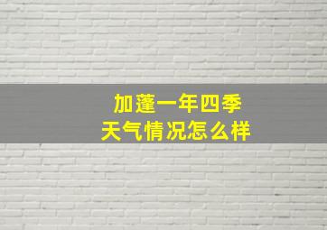 加蓬一年四季天气情况怎么样