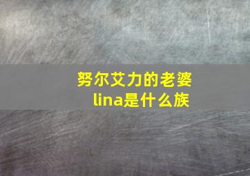 努尔艾力的老婆lina是什么族