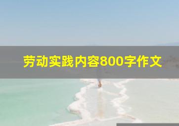 劳动实践内容800字作文