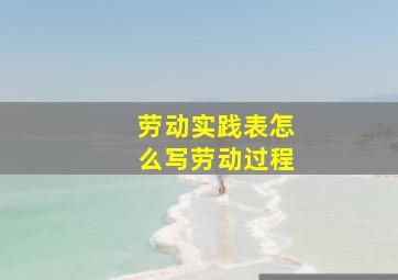 劳动实践表怎么写劳动过程