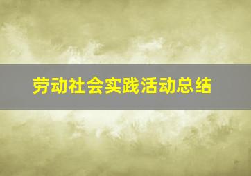 劳动社会实践活动总结