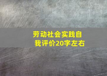 劳动社会实践自我评价20字左右