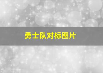 勇士队对标图片