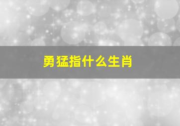 勇猛指什么生肖