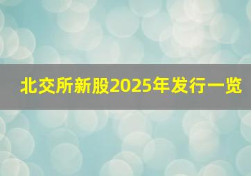 北交所新股2025年发行一览