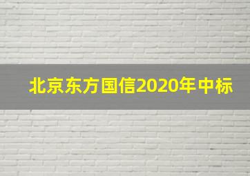 北京东方国信2020年中标