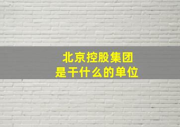 北京控股集团是干什么的单位