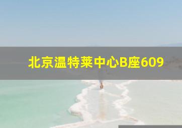 北京温特莱中心B座609