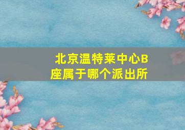 北京温特莱中心B座属于哪个派出所