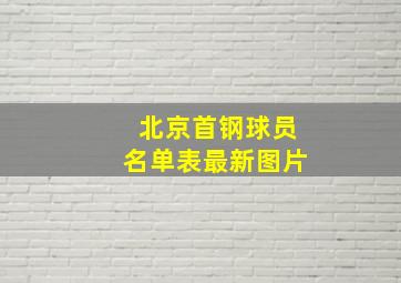 北京首钢球员名单表最新图片