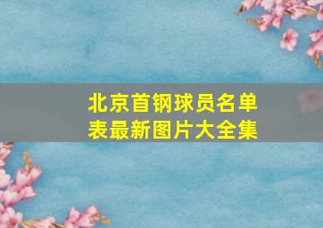 北京首钢球员名单表最新图片大全集