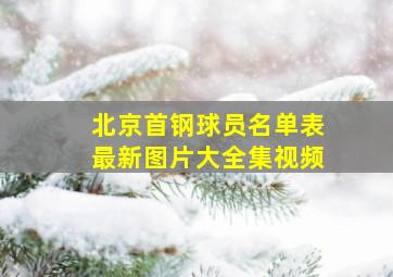 北京首钢球员名单表最新图片大全集视频