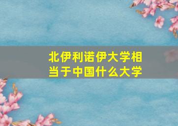 北伊利诺伊大学相当于中国什么大学