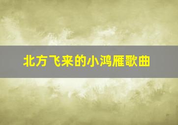 北方飞来的小鸿雁歌曲