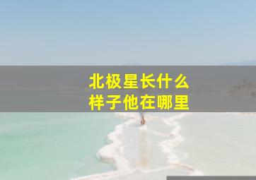 北极星长什么样子他在哪里