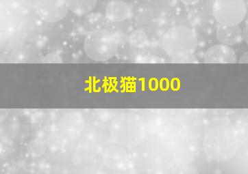 北极猫1000