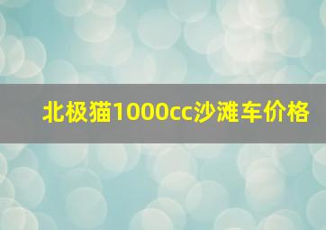 北极猫1000cc沙滩车价格