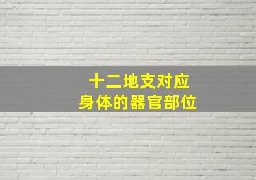 十二地支对应身体的器官部位