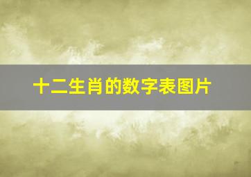 十二生肖的数字表图片