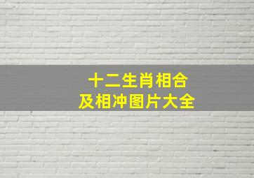 十二生肖相合及相冲图片大全