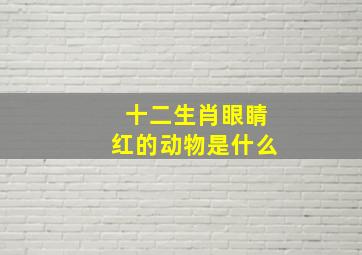 十二生肖眼睛红的动物是什么