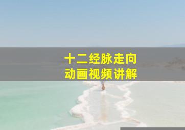 十二经脉走向动画视频讲解