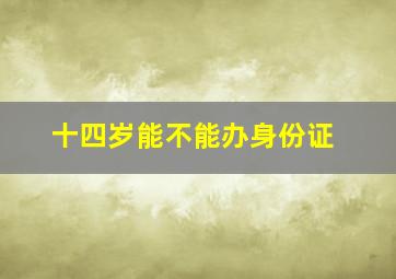 十四岁能不能办身份证