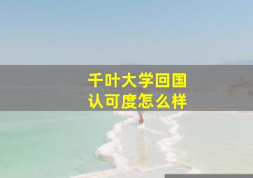 千叶大学回国认可度怎么样