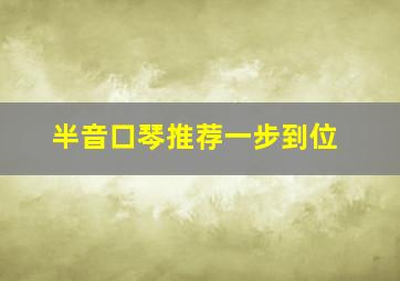 半音口琴推荐一步到位