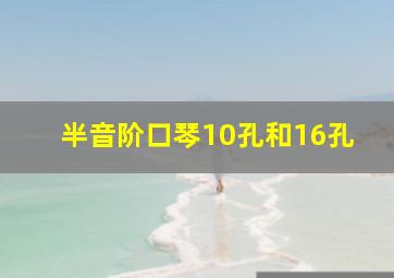 半音阶口琴10孔和16孔