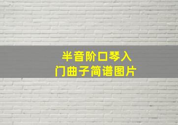 半音阶口琴入门曲子简谱图片