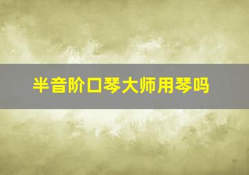 半音阶口琴大师用琴吗