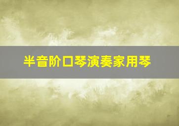 半音阶口琴演奏家用琴