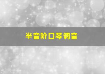 半音阶口琴调音