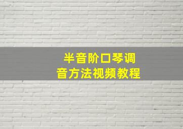 半音阶口琴调音方法视频教程