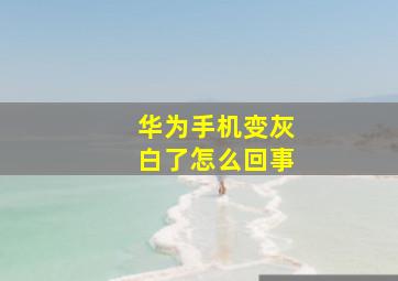 华为手机变灰白了怎么回事