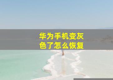 华为手机变灰色了怎么恢复