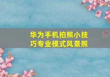 华为手机拍照小技巧专业模式风景照