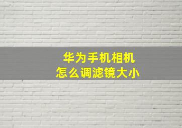 华为手机相机怎么调滤镜大小