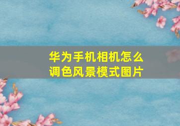 华为手机相机怎么调色风景模式图片