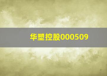 华塑控股000509