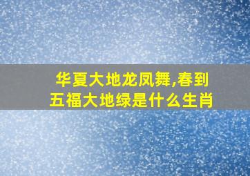 华夏大地龙凤舞,春到五福大地绿是什么生肖