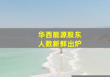 华西能源股东人数新鲜出炉