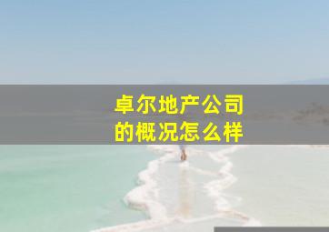 卓尔地产公司的概况怎么样