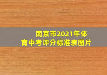 南京市2021年体育中考评分标准表图片