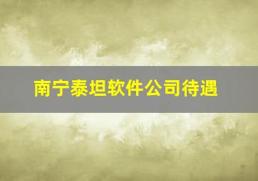 南宁泰坦软件公司待遇