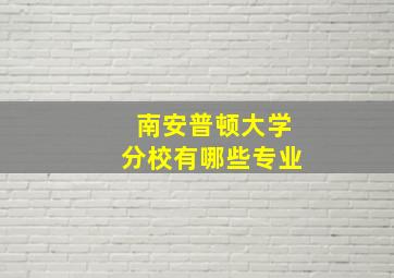 南安普顿大学分校有哪些专业