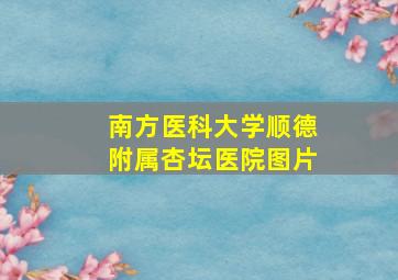 南方医科大学顺德附属杏坛医院图片