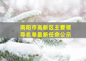 南阳市高新区主要领导名单最新任命公示