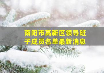 南阳市高新区领导班子成员名单最新消息